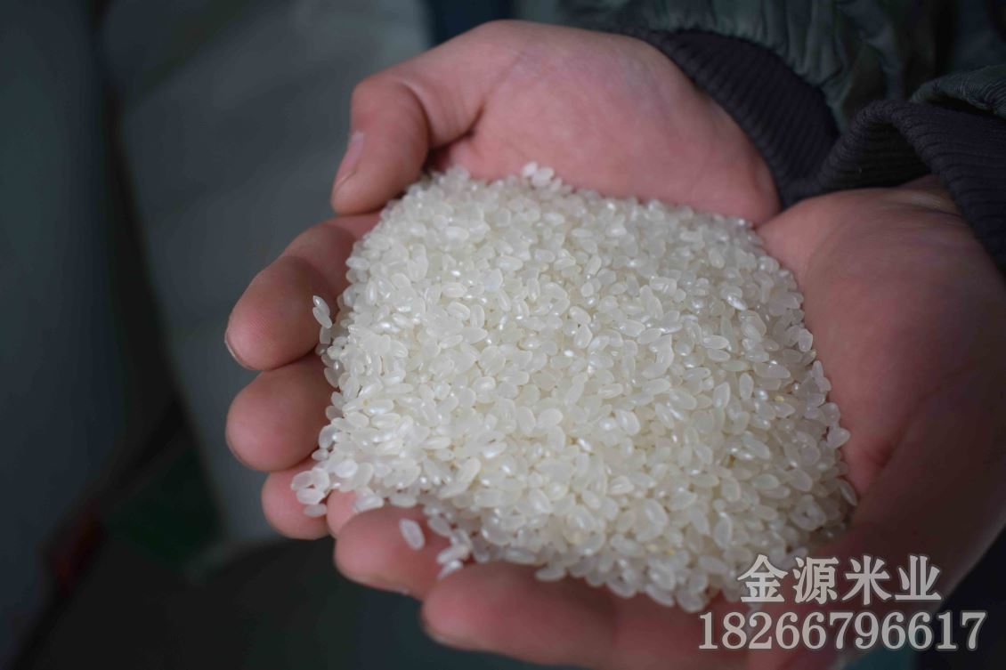 鱼台大米存放